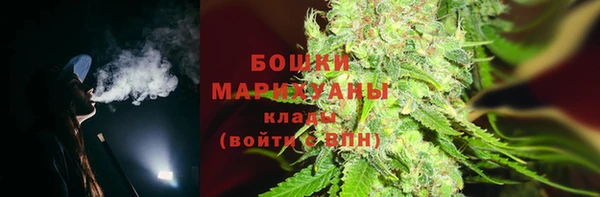 амф Гусь-Хрустальный