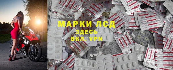 амф Гусь-Хрустальный
