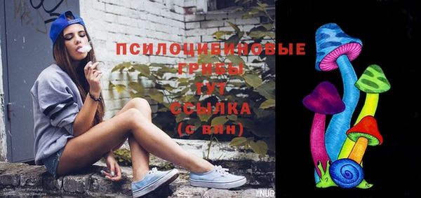 амф Гусь-Хрустальный