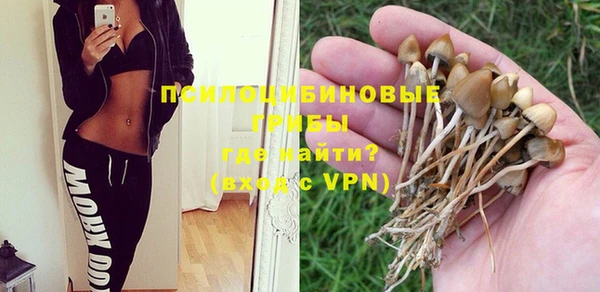 дурь Горно-Алтайск