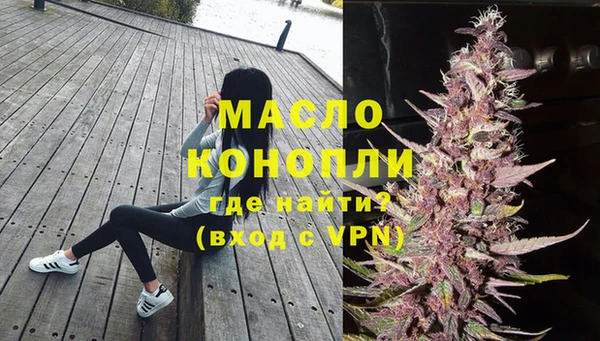 амф Гусь-Хрустальный