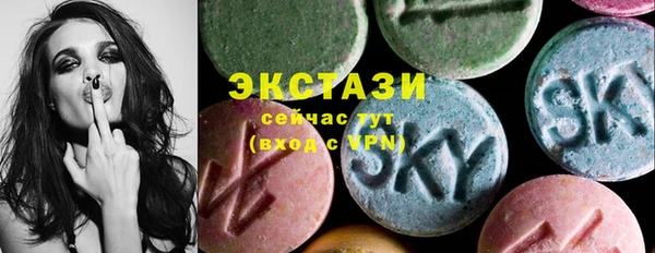 амф Гусь-Хрустальный