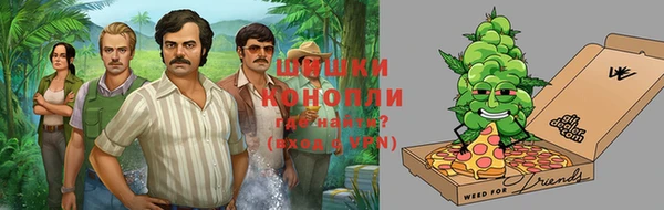 амф Гусь-Хрустальный