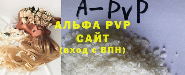 амф Гусь-Хрустальный