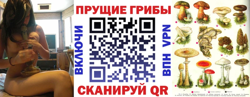 Купить  Нефтегорск  Псилоцибиновые грибы прущие грибы 