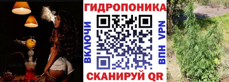 Каннабис сатива  Купить где  Нефтегорск 
